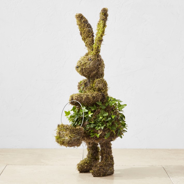 Easter Bunny with Basket Ivy & Moss Live Topiary, 24