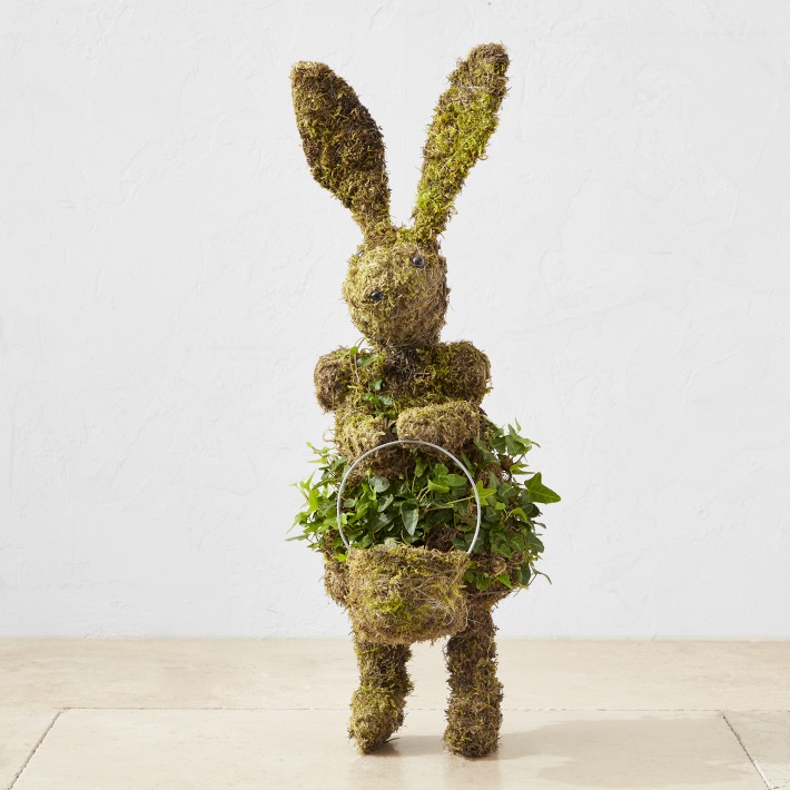Easter Bunny with Basket Ivy & Moss Live Topiary, 24